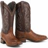 Boot * | Stetson Men'S Branson Caiman Exotic Boots Brown