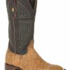 Boot * | Stetson Men'S Tan Honey Alligator Western Boots Square Toe