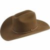 Hat * | Stetson Powder River 4X Buffalo Fur Felt Hat For Men'S Mink